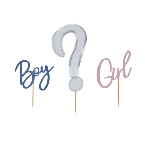 Gender Reveal Cake Topper