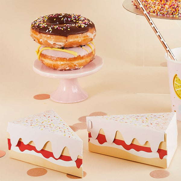 Slice Of Cake Mini Cake Boxes - 10 pack
