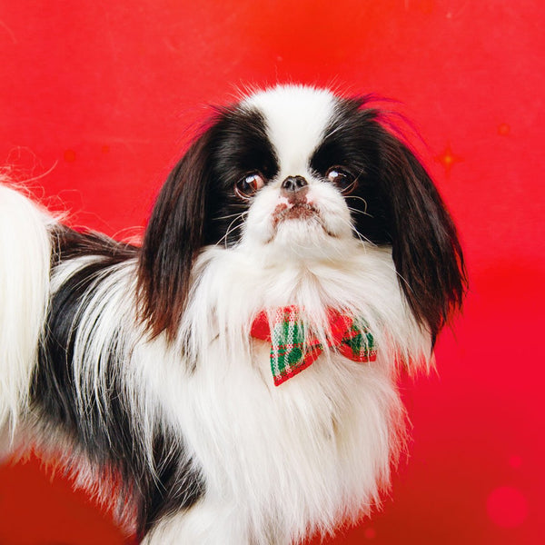 Christmas Tartan Pet Bow Tie