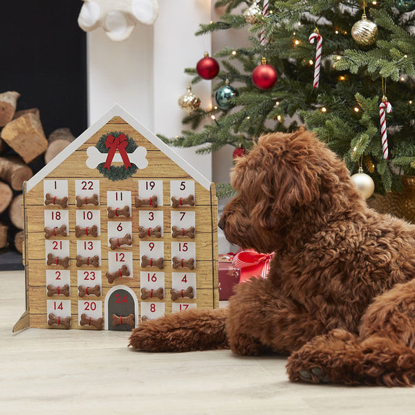 Pet Advent Calendar