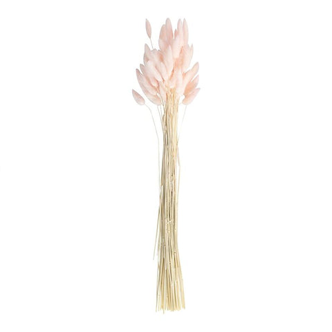 Soft Pink Dried Bunny Tails